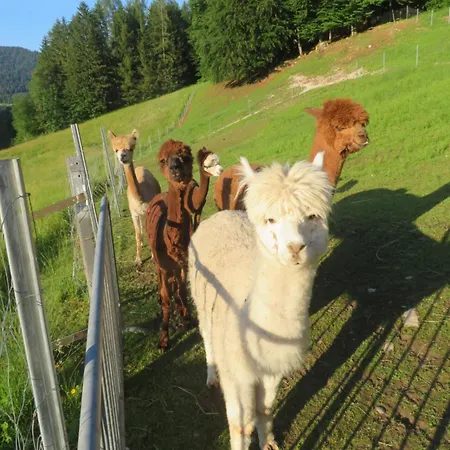 Familienhof Angerer Appartement *